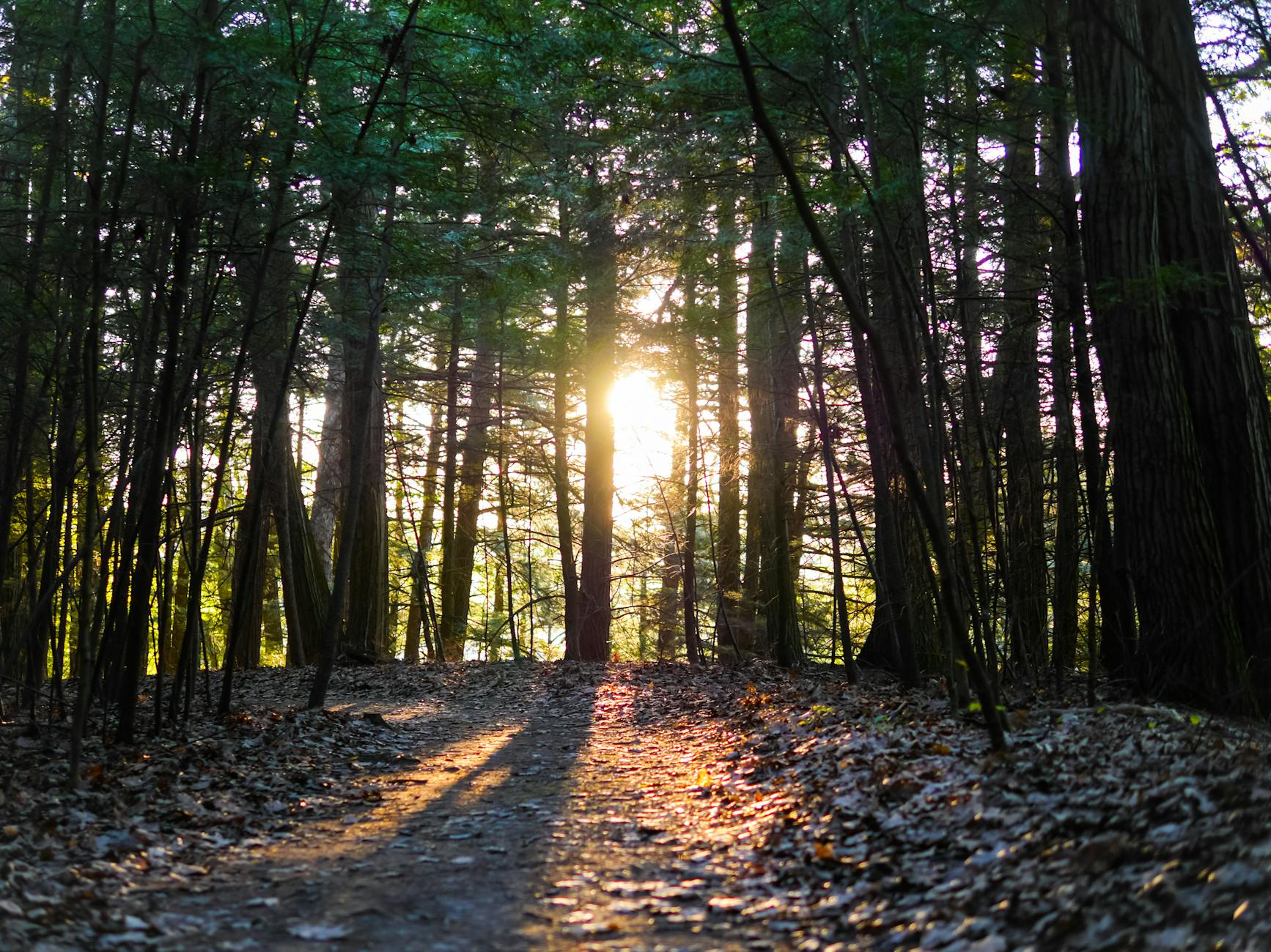God Winks: How God Orders our Steps in Unexpefcted Ways