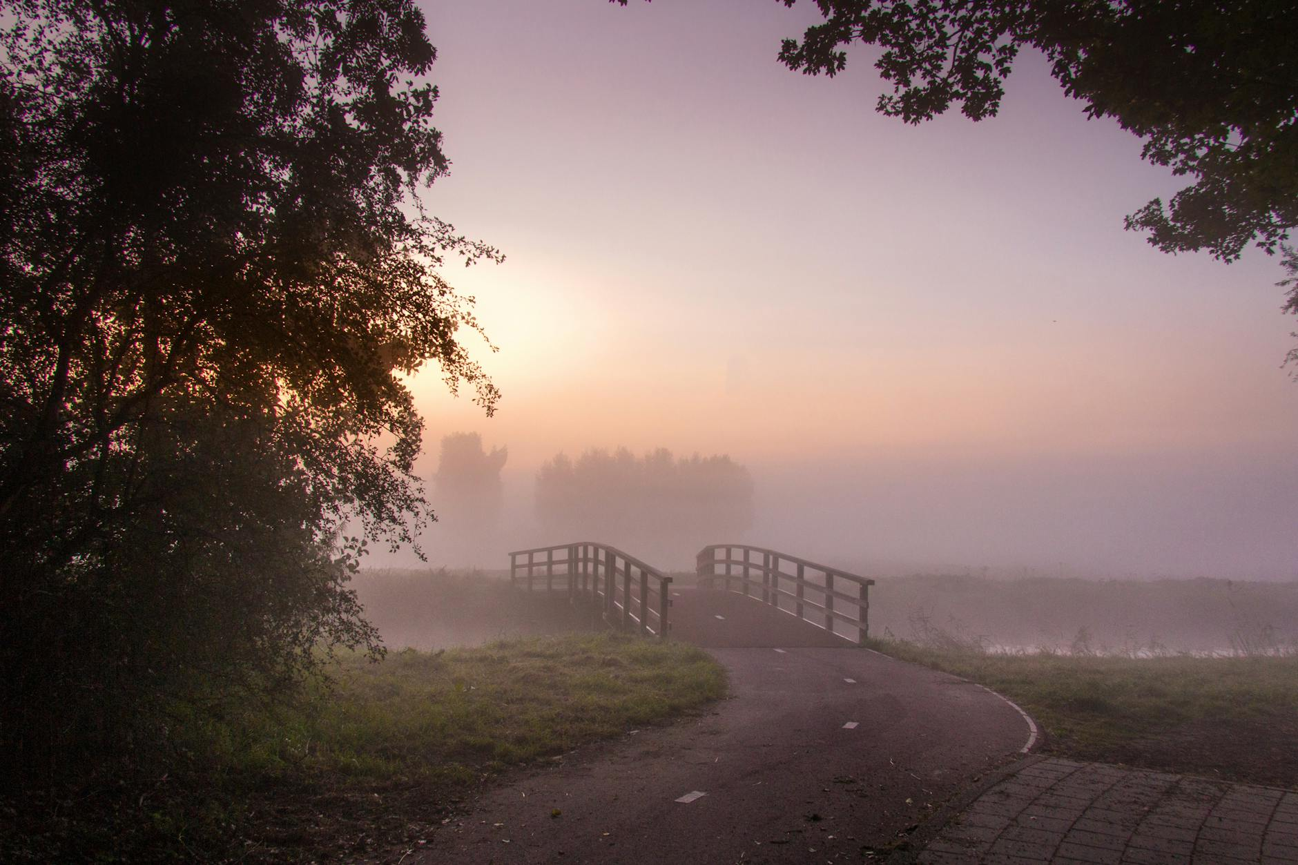 foggy country road with bridge
